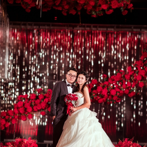 阿拉斯加的玫瑰